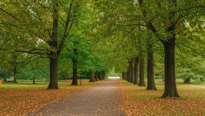 Naklejka premium A peaceful trail through a tree-lined park with colorful autumn leaves scattered on the path.