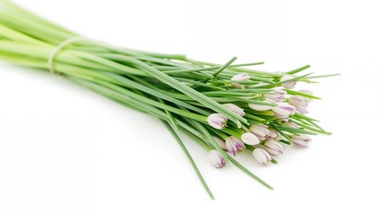 Fototapeta premium Garlic chives displayed against a white backdrop