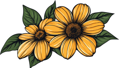 african daisy flower and leaves