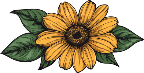 african daisy flower and leaves