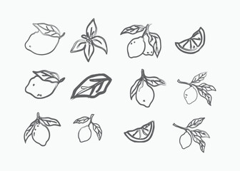 Hand-drawn sketchy lemon fruits and leaves collection for fresh and zesty designs vector