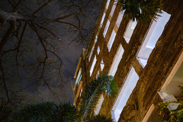 Low angle view of illuminated residential building at night with glowing windows, tree branches...