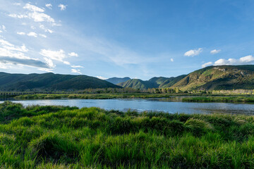 The natural scenery of the wetland park by the lake