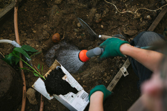 Directly above shot of woman watering soil in garden
