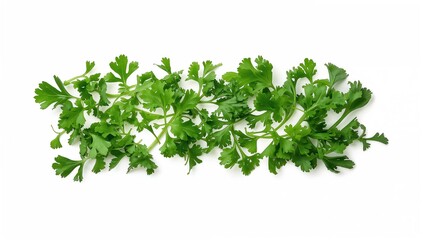 Fototapeta premium Bright green chopped herb leaves on a white surface. Sliced fresh aromatic garden herbs with a spicy flavor. Overhead shot of finely cut cilantro or coriander leaf fragments.