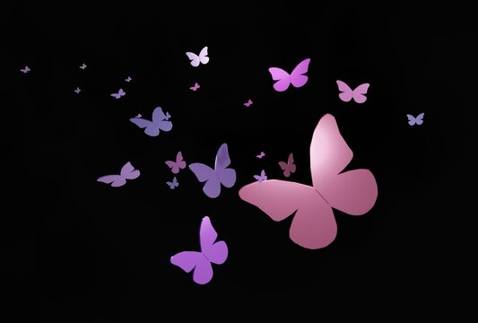 pink purple 3d butterfly on a black background