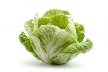 Obraz premium Green butterhead lettuce isolated on a white background