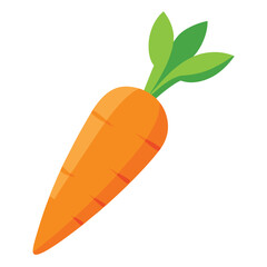 Bright orange carrot with green leaves isolated on white background