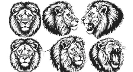 Obraz premium Majestic Lion Heads Collection: Powerful Feline Portraits in Varied Expressions for Wildlife Conservation, Graphic Design, Tattoo Art, and Brand Mascot Inspiration - Fierce, Regal, and Wild Animal Ill