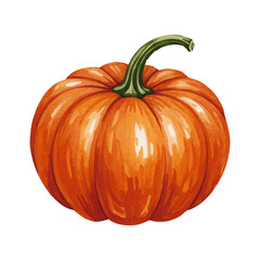 Watercolor-style pumpkin illustration_Orange
