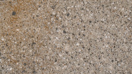 A coarse, uneven surface featuring numerous tiny bumps, cracks, and weathered spots with areas of white and brown coloration.