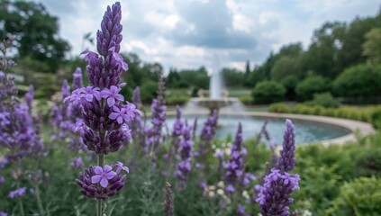 Obraz premium Close-up of a stunning lavender flower with a garden and water feature in the background