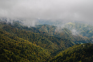 misty morning in the mountains