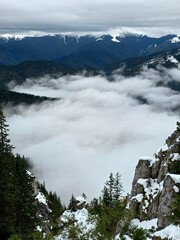 snow covered mountains