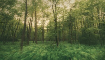 Fototapeta premium Lush Green Foliage in a Forest Captured with Intentional Camera Movement Technique