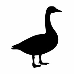 Elegant black silhouette of a goose standing gracefully on a white background