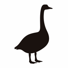 Elegant silhouette of a goose with a long neck and sleek body