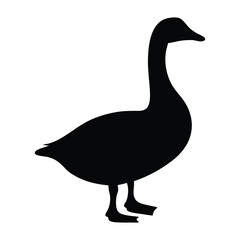 Elegant Silhouette of a Majestic Goose Standing Tall Against a White Backdrop