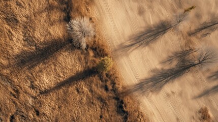 Rolling golden hills landscape — warm brown & ochre for presentation backgrounds, wallpapers and posters