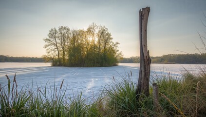 A frozen lake featuring a fallen tree trunk, encircled by lush greenery, with sunlight shining behind and grasses in front