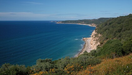 Obraz premium Atlantic coastline with lush forests and clear waters during summer
