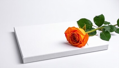 Orange Rose on White Textured Surface