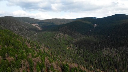 Flying over a valley filled with green coniferous forest. Media