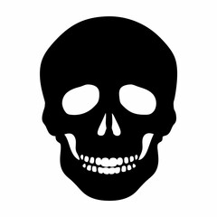 Black and White Skull Image Representing Death and Mortality for Halloween