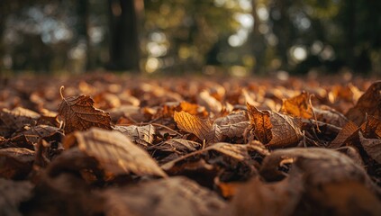 Obraz premium Appealing brown autumn leaves scattered on the ground