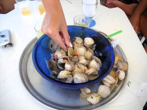 Lambreta - Frutos do Mar