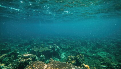 Fototapeta premium Visitors gather at the seaside during bright summer days to enjoy stunning ocean views, partake in fishing trips, and observe local wildlife.