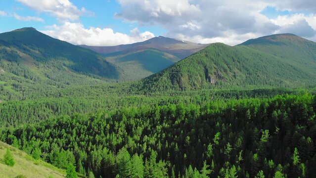 Vast forest covering rolling hills under a cloudy sky. Media - Powered by Adobe