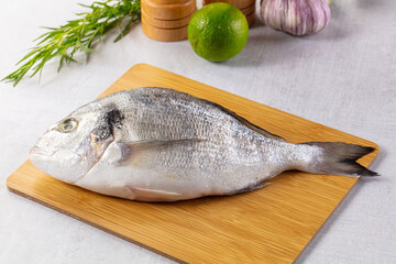 Raw fresh uncooked dorada fish