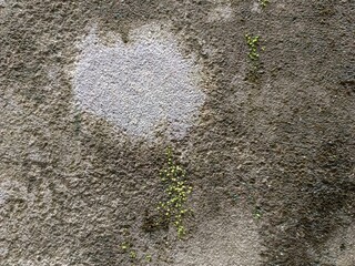 Rough gray concrete wall with patches of white and green moss texture