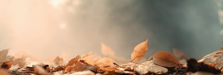 Autumn foliage in soft blur, golden and amber leaves scattered across gentle gradient, morning mist suggestion banner. Panoramic web header. Wide screen wallpaper