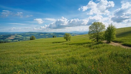 Stunning natural landscape with lush green fields and captivating scenery
