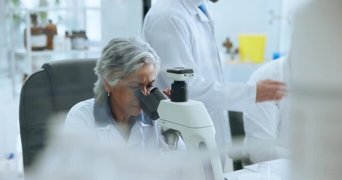Scientist, woman and microscope analysis in lab for sample testing, genetics research or innovation. Science staff, mature person and medical equipment for pharmaceutical development and DNA study
