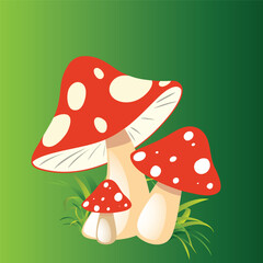 Vector Colorful Flat Fly Agaric Illustration