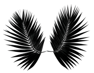 Two dark, symmetrically placed feather-like structures against a stark black background