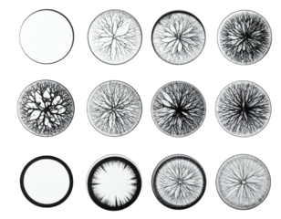 Abstract series of circular designs showcasing organic radial patterns against a black background