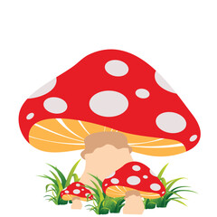 Vector Colorful Flat Fly Agaric Illustration