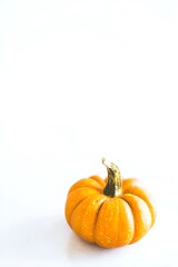 Minimal autumn themed image featuring a small orange pumpkin isolated on a clean bright white background. Soft natural light, simple fall harvest concept, minimalistic seasonal still life.