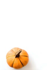 Small Orange Pumpkin Isolated on Bright White Minimal Background