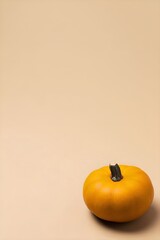 Small Pumpkin on Soft Beige Background with Minimal Composition