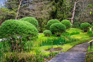 The Atlantic Botanic Garden offers amazing landscapes filled with lush greenery, native flora, and serene walking paths in Gijon, Asturias, Spain