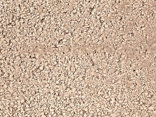 A CloseUp Image of a Textured Beige Surface Featuring Granules and Fine Details Inside