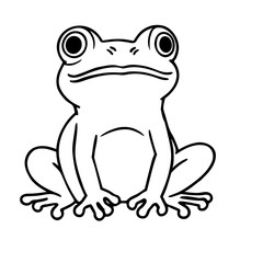frog on a white background