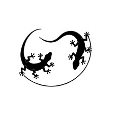 vector illustration of a lizard