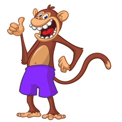 Cartoon funny monkey chimpanzee wearing shorts. Vector illustration isolated on white