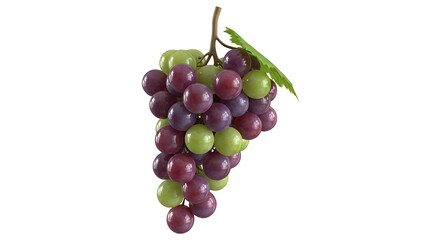 Fototapeta premium A realistic bunch of red and green grapes hanging down isolated on transparent background